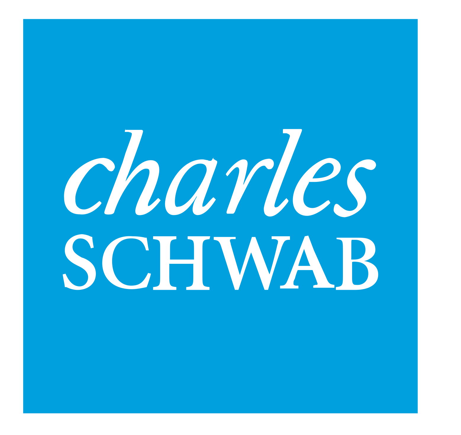 Charles Schwab trading journal integration logo