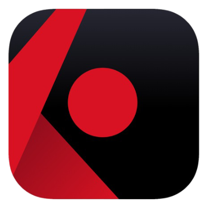 Interactive Brokers trading journal integration logo